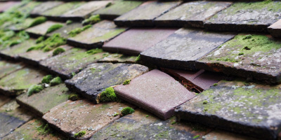 Great Barrington roof repair costs